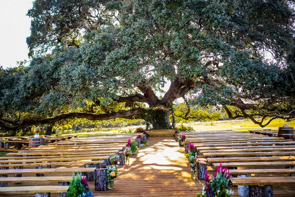 The ceremony lawn under the oak