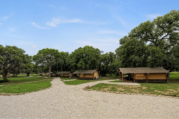 Glamping tents under the oaks