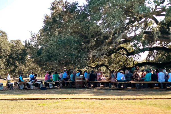 Guests seated for the ceremony